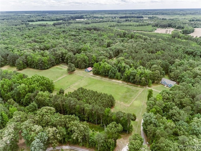 8011 Wood Dr, Disputanta, VA 23842 - photo 6
