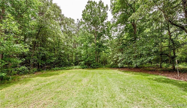 8011 Wood Dr, Disputanta, VA 23842 - photo 36