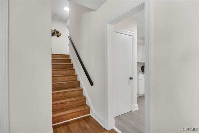 8912 Michaux Ln, Henrico, VA 23229 - photo 10