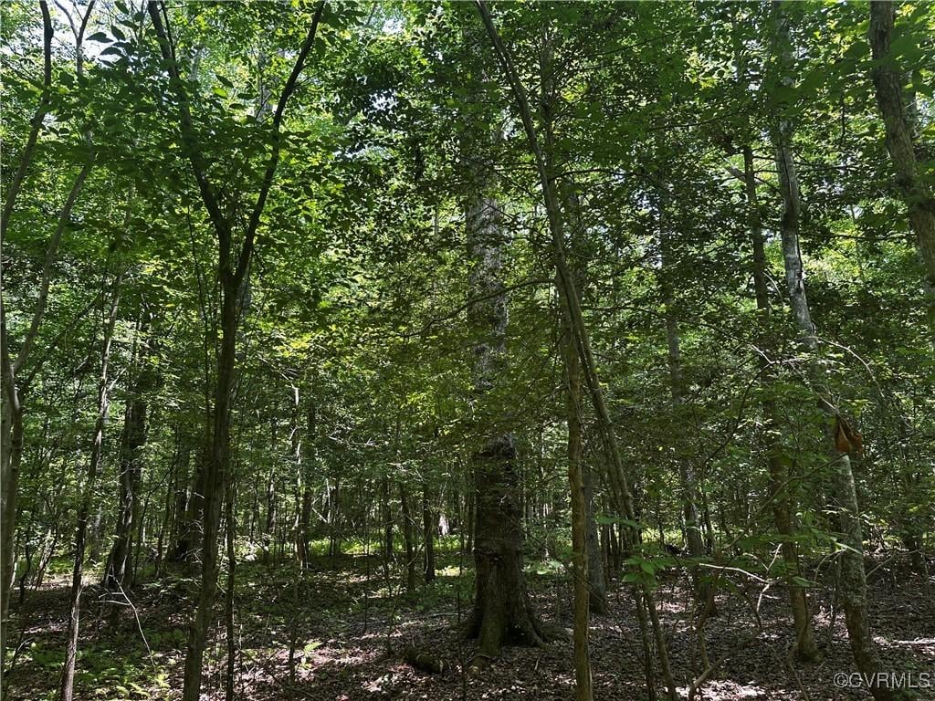 000 Buckley Hall Rd, Dutton, VA 23050 - photo 3