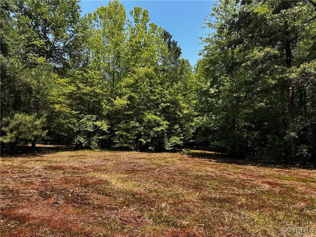 000 Buckley Hall Rd, Dutton, VA 23050 - photo 1