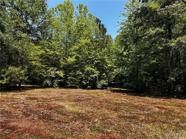 000 Buckley Hall Rd, Dutton, VA 23050 - photo 1