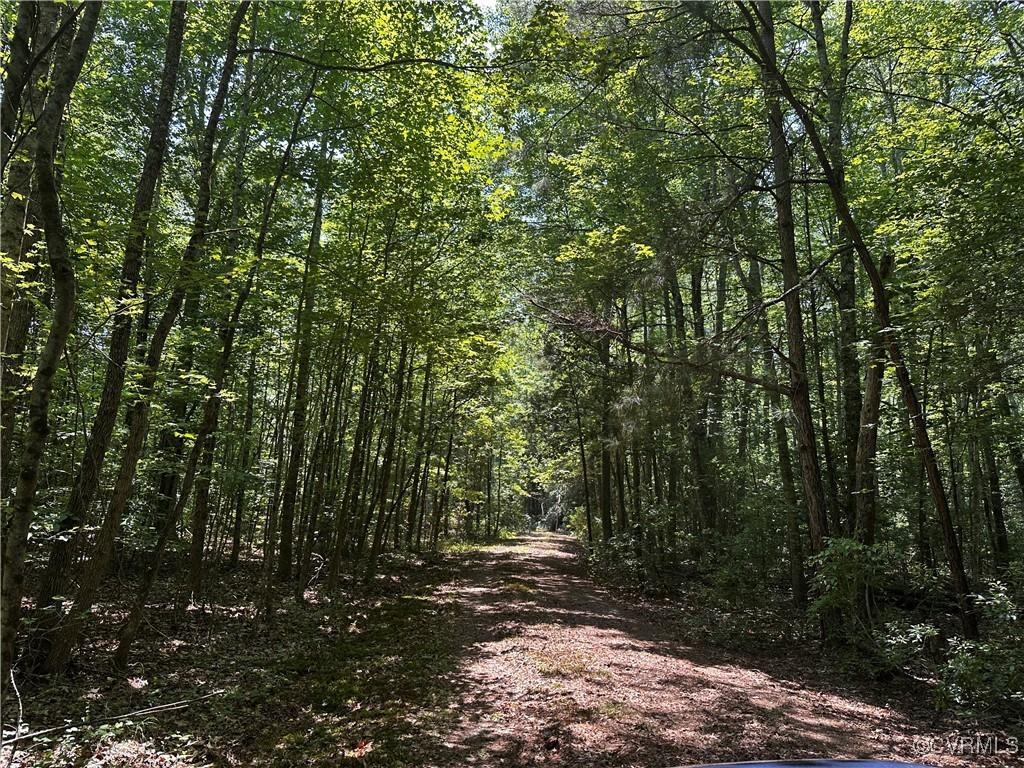 000 Buckley Hall Rd, Dutton, VA 23050 - photo 2