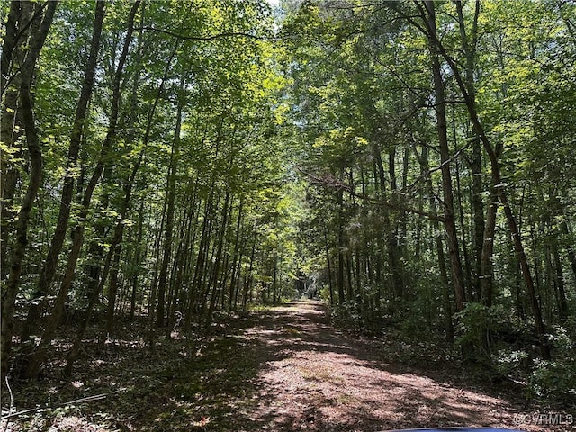 000 Buckley Hall Rd, Dutton, VA 23050 - photo 2