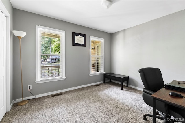 11501 Leiden Ln, Midlothian, VA 23112 - photo 10