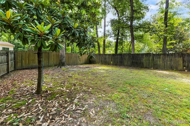 11501 Leiden Ln, Midlothian, VA 23112 - photo 15