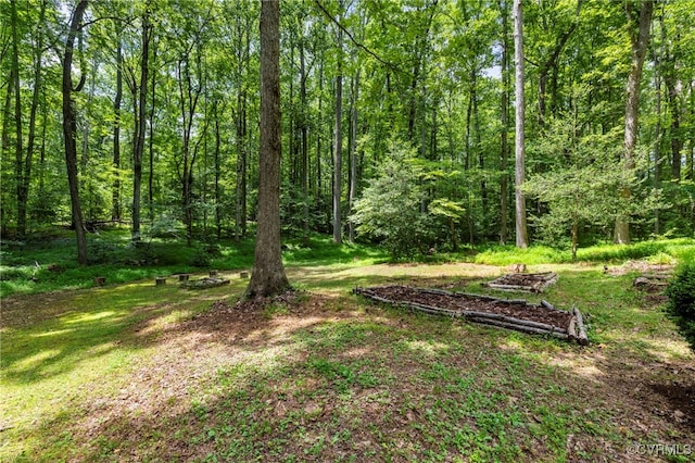 15053 Quaker Church Rd, Montpelier, VA 23192 - photo 20