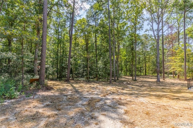 3555 Enos Way, Mechanicsville, VA 23111 - photo 45