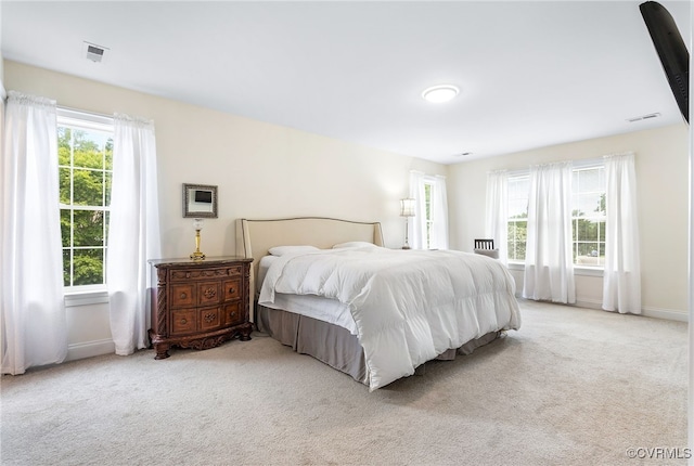 16847 Jaydee Ter, Moseley, VA 23120 - photo 19