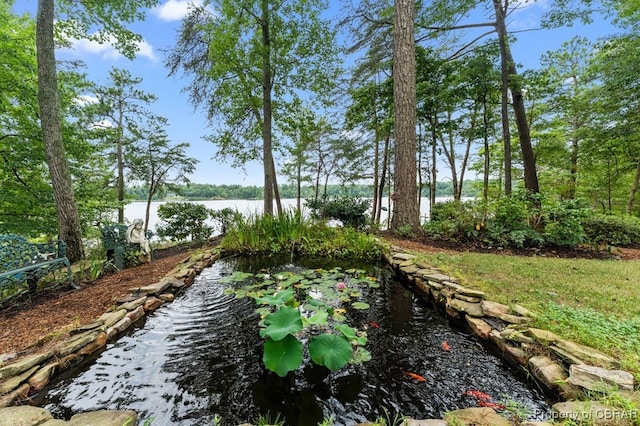 1093 Browns Ln, Lancaster, VA 22503 - photo 26