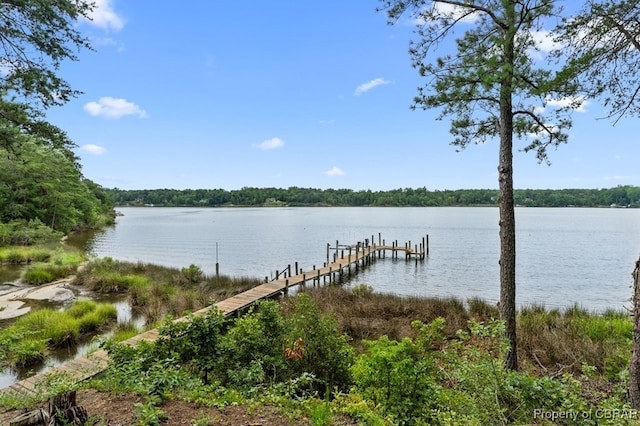 1093 Browns Ln, Lancaster, VA 22503 - photo 41
