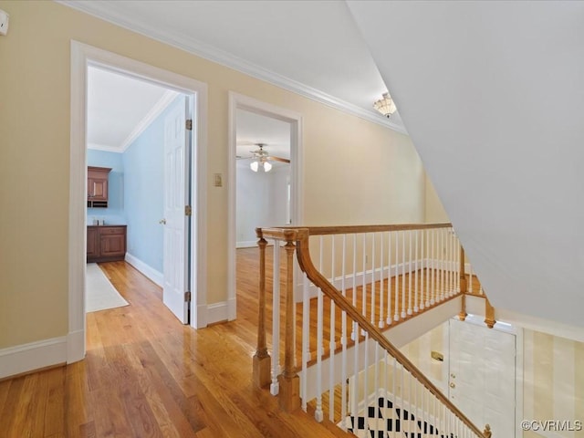 10711 Old Squaws Ln, Chesterfield, VA 23838 - photo 28