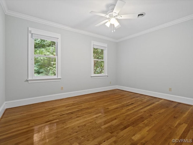 10711 Old Squaws Ln, Chesterfield, VA 23838 - photo 31