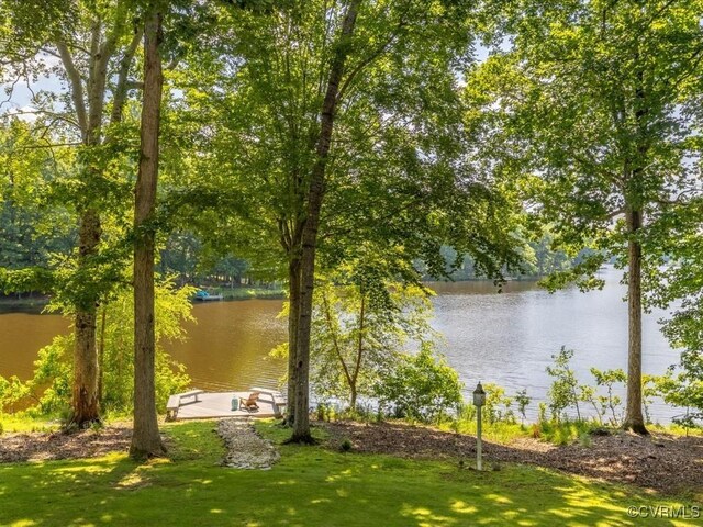 10711 Old Squaws Ln, Chesterfield, VA 23838 - photo 43