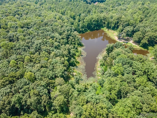 2118 Dorrell Rd, Aylett, VA 23009 - photo 10