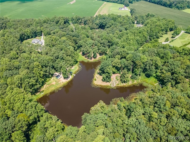 2118 Dorrell Rd, Aylett, VA 23009 - photo 11