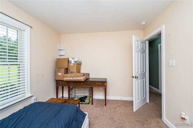 2118 Dorrell Rd, Aylett, VA 23009 - photo 20