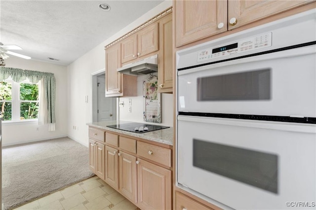 9193 Wyattwood Rd, Mechanicsville, VA 23116 - photo 12