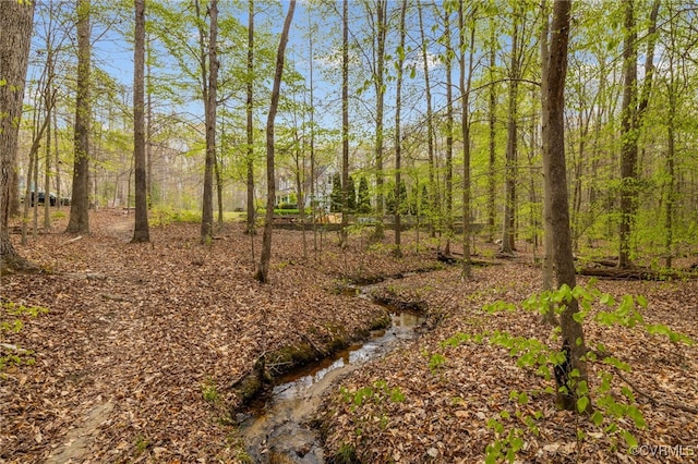 14095 Spring Creek Ln, Ashland, VA 23047 - photo 45