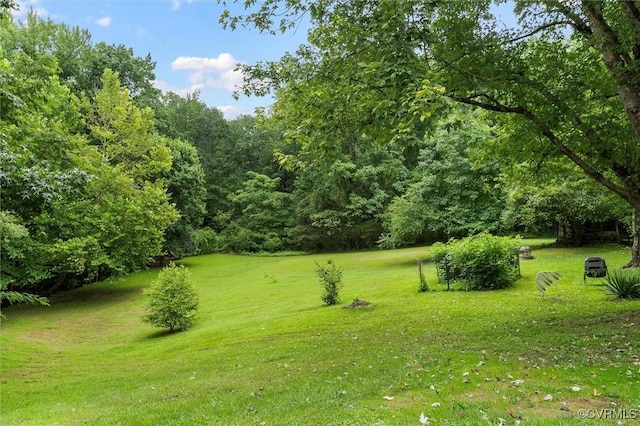 1160 Bickerstaff Rd, Henrico, VA 23231 - photo 6