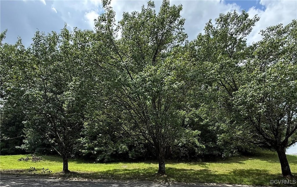 3832 Goodell Rd, Henrico, VA 23223 - photo 1