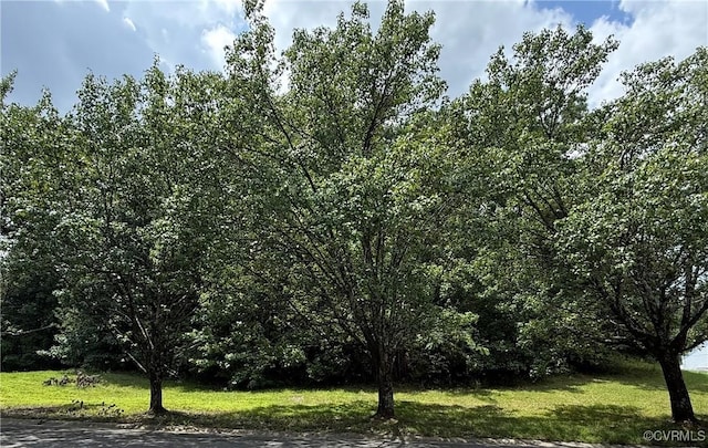 3832 Goodell Rd, Henrico, VA 23223 - photo 1