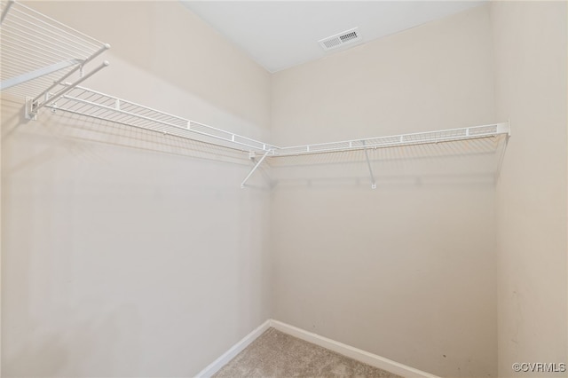 600 Fern Meadow Loop Unit 308, Midlothian, VA 23114 - photo 25