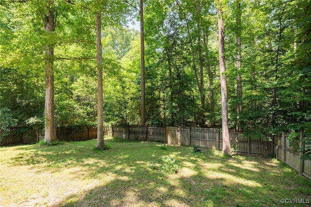 4606 S Run Ct, Chesterfield, VA 23234 - photo 29