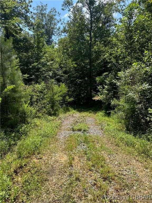 5.7AC Dutton Rd, Gloucester, VA 23061 - photo 1