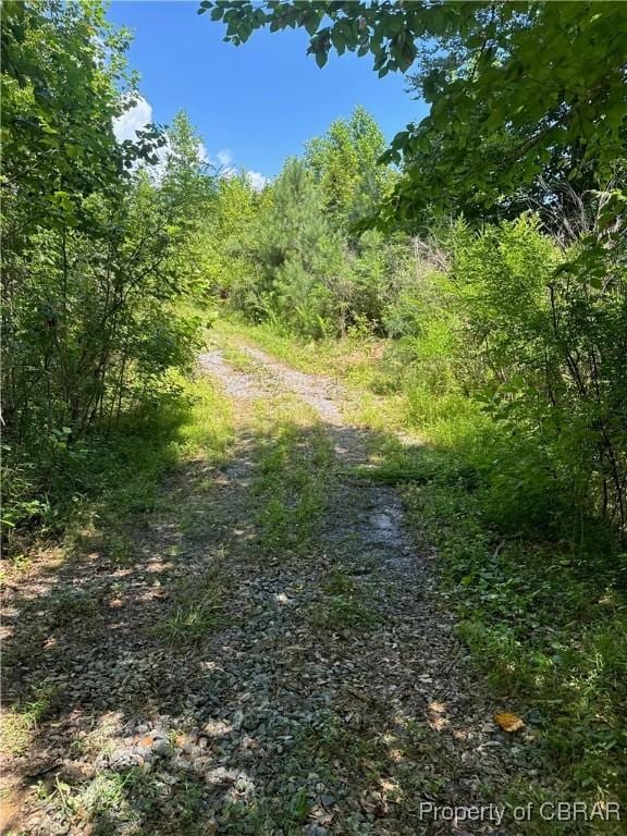 5.7AC Dutton Rd, Gloucester, VA 23061 - photo 4