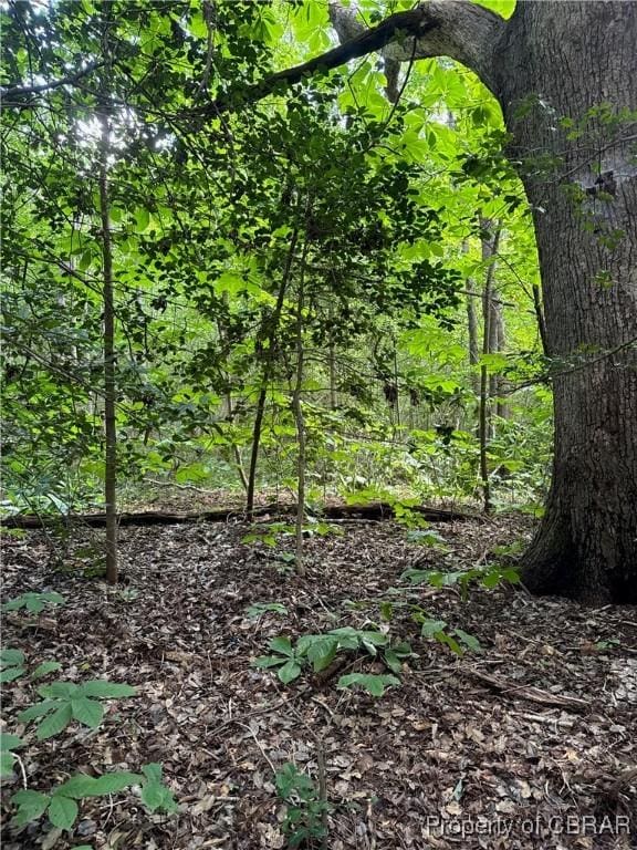 5.7AC Dutton Rd, Gloucester, VA 23061 - photo 5