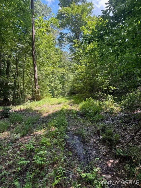 5.7AC Dutton Rd, Gloucester, VA 23061 - photo 6