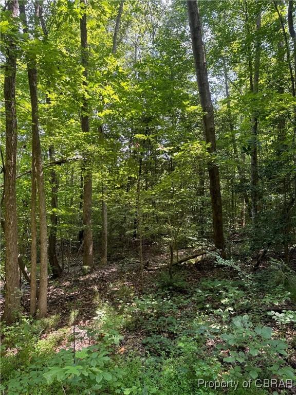 5.7AC Dutton Rd, Gloucester, VA 23061 - photo 7