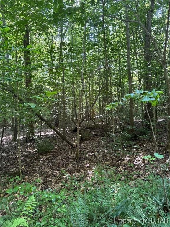5.7AC Dutton Rd, Gloucester, VA 23061 - photo 8