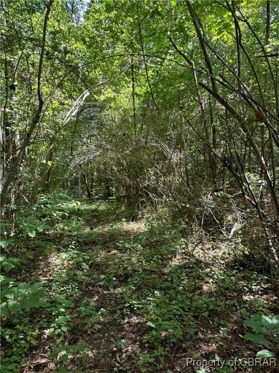 5.7AC Dutton Rd, Gloucester, VA 23061 - photo 9