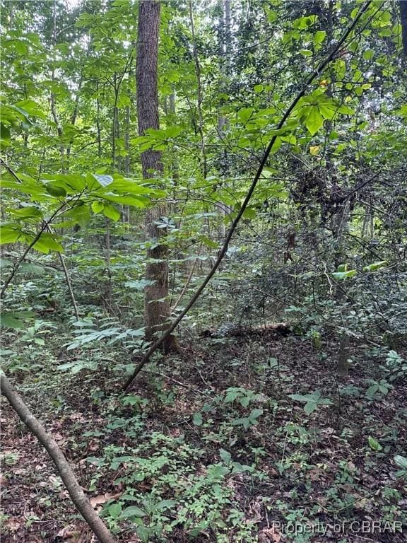 5.7AC Dutton Rd, Gloucester, VA 23061 - photo 11