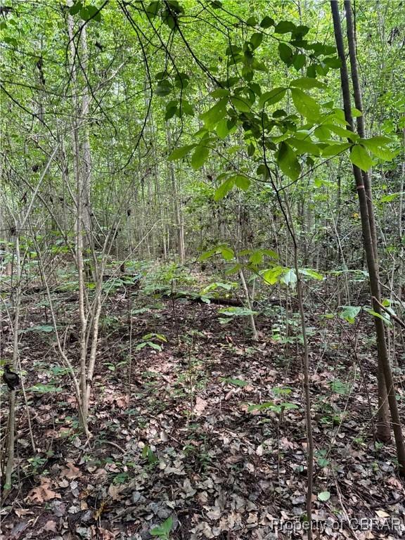 5.7AC Dutton Rd, Gloucester, VA 23061 - photo 12