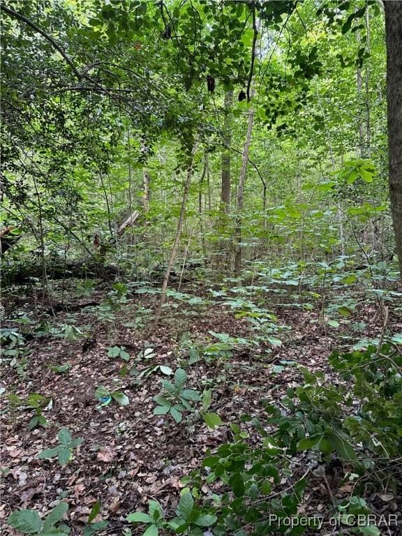 5.7AC Dutton Rd, Gloucester, VA 23061 - photo 14
