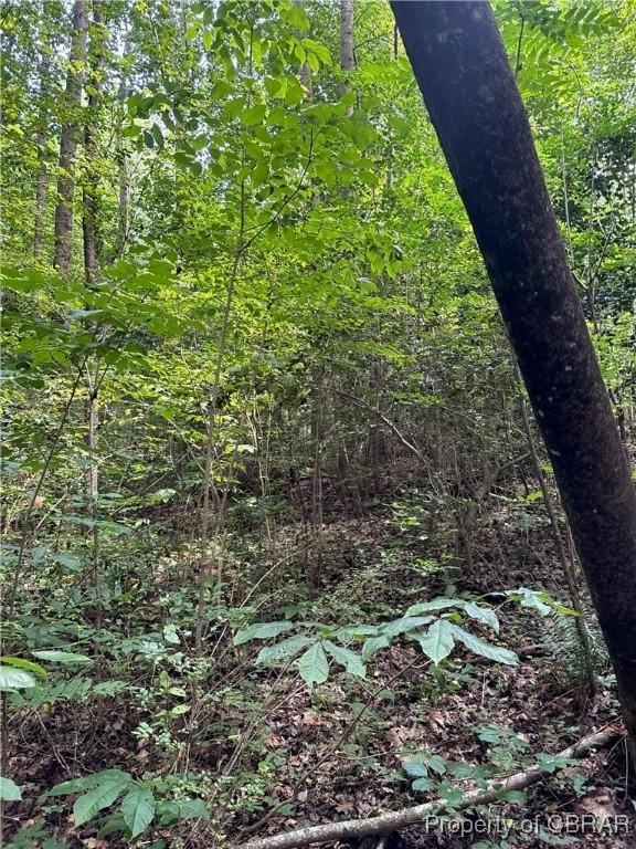 5.7AC Dutton Rd, Gloucester, VA 23061 - photo 15