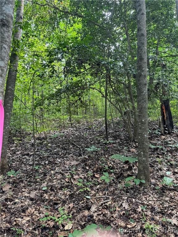 5.7AC Dutton Rd, Gloucester, VA 23061 - photo 16