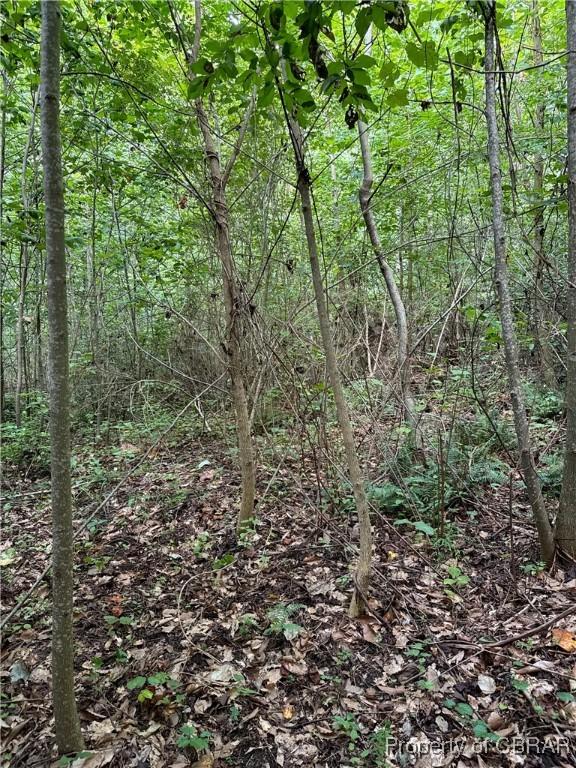 5.7AC Dutton Rd, Gloucester, VA 23061 - photo 18