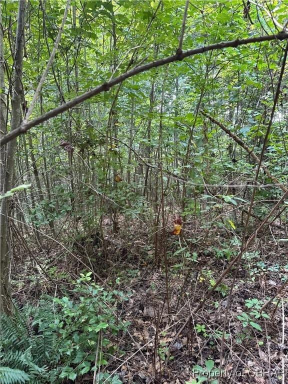 5.7AC Dutton Rd, Gloucester, VA 23061 - photo 19