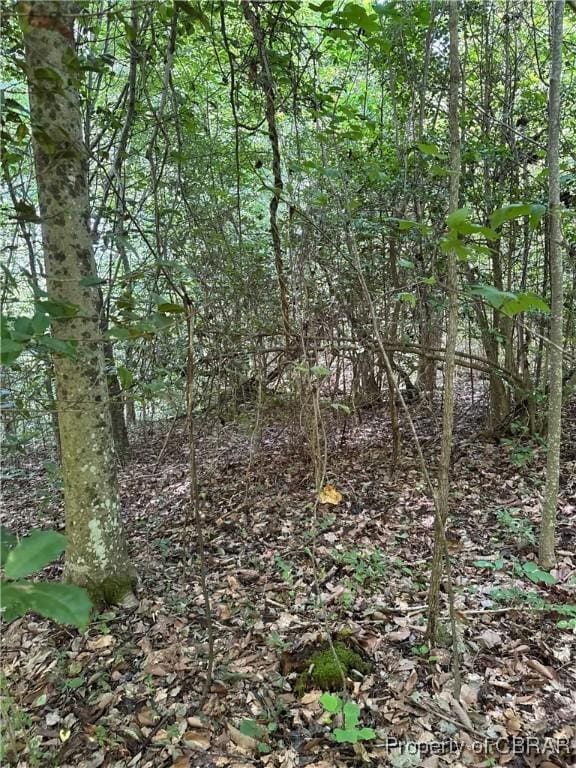 5.7AC Dutton Rd, Gloucester, VA 23061 - photo 20