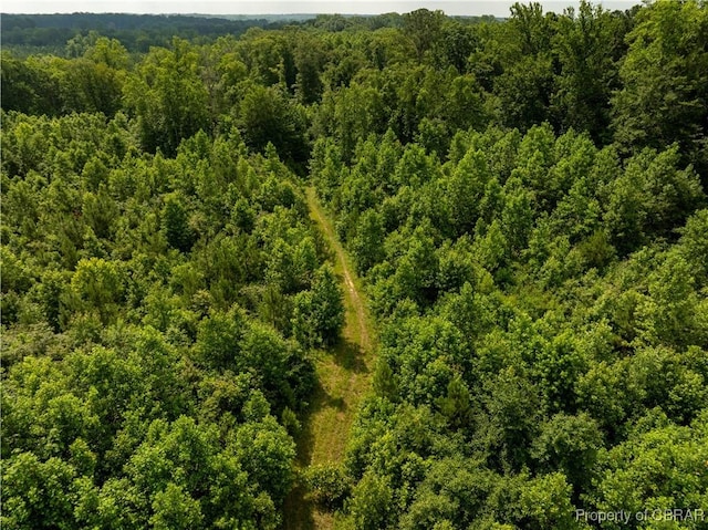 5.7AC Dutton Rd, Gloucester, VA 23061 - photo 13