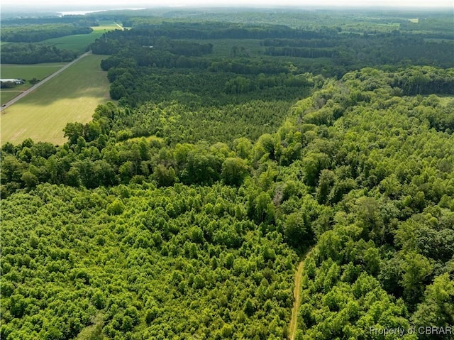 5.7AC Dutton Rd, Gloucester, VA 23061 - photo 2
