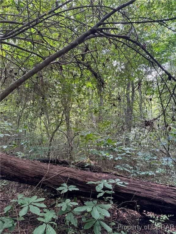 5.2AC Dutton Rd, Gloucester, VA 23061 - photo 5