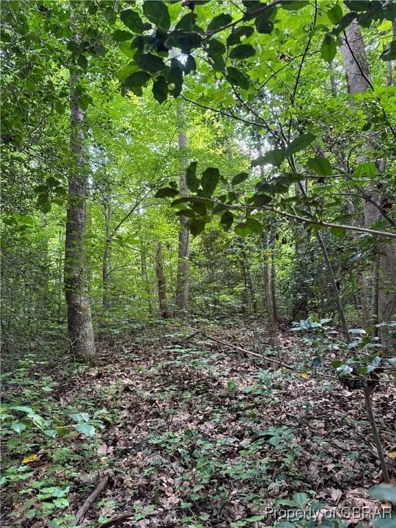 5.2AC Dutton Rd, Gloucester, VA 23061 - photo 12