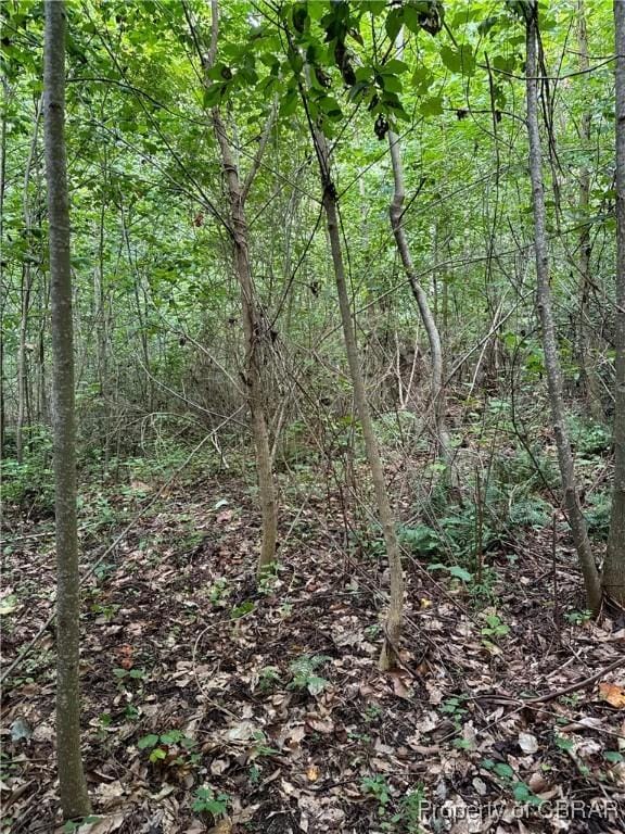 5.2AC Dutton Rd, Gloucester, VA 23061 - photo 13