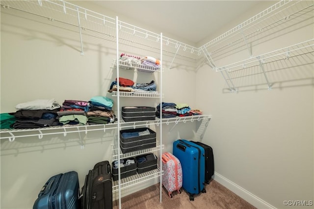 4501 Bacova Club Ct, Glen Allen, VA 23059 - photo 27