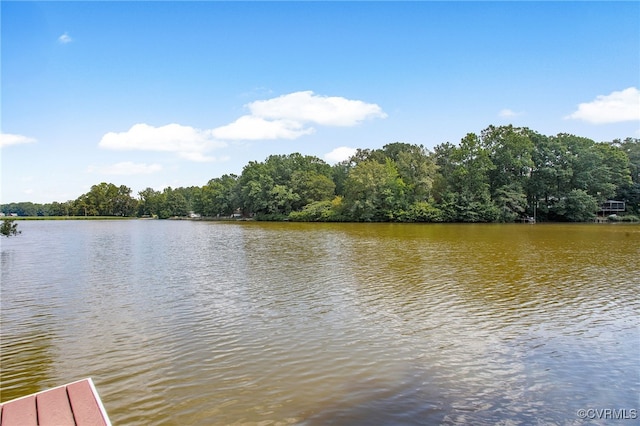 2103 Lakeview Dr, Powhatan, VA 23139 - photo 36